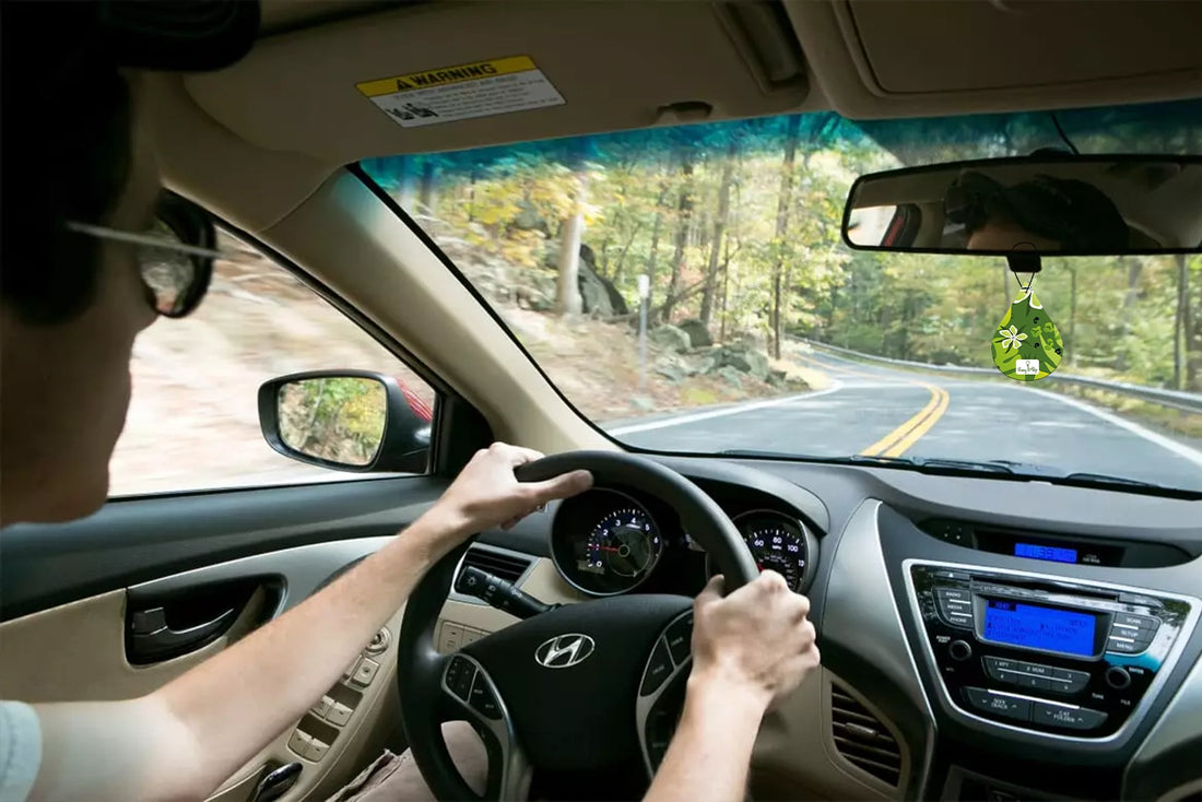 Revitalize Your Ride: The Freshness of HangItUp Premium Lemongrass Car Air Fresheners