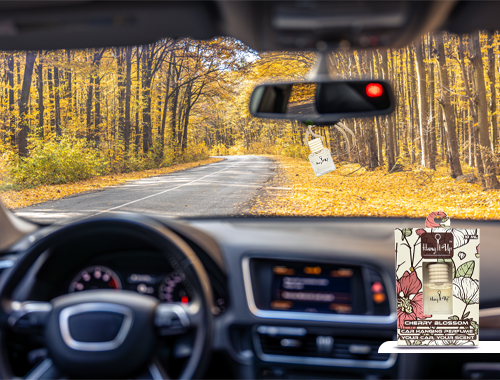 Premium Car Perfume Hanging Pod 10 ML -Cherry blossom