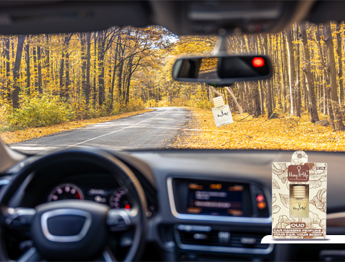 Premium Car Perfume Hanging Pod 10 ML - Oud