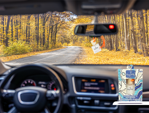 Premium Car Perfume Hanging Pod 10 ML - Rose Marry